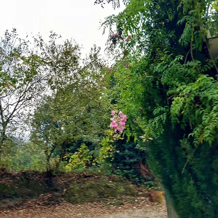 Casa Porto *