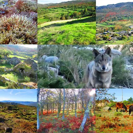 Casa Porto Villa Amarante
