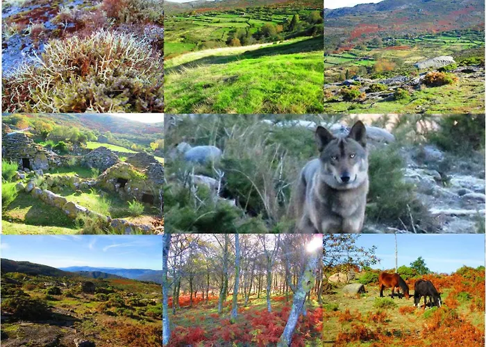 Casa Porto Villa Amarante